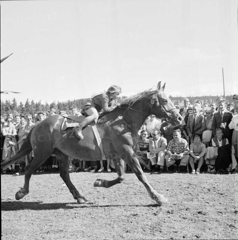 48th Marché-Concours Saignelégier, Aimée Scheffel, 1951