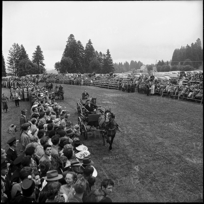 52nd Marché-Concours Saignelégier, one-horse-carriage race, 1955