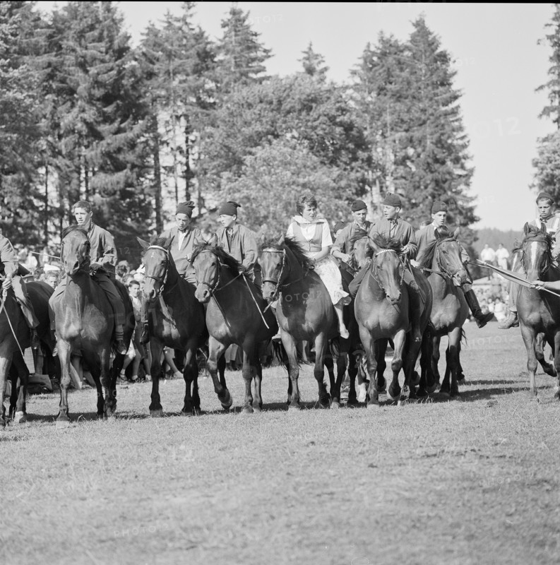 60th Marché Concours Saignelégier, 1963