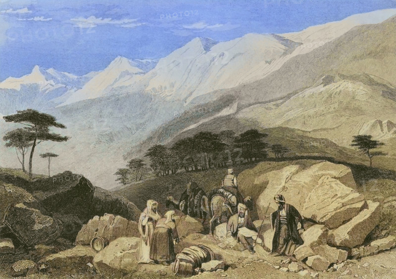 Mount Lebanon. Cedars. Engraving by Ransonnette. Later colouration. ""La Tierra Santa y los lugares recorridos por los profetas, por los apostoles y por los cruzados"" (The Holy Land and the sites traversed by the prophets, by the apostles and by the crusaders). Published in Barcelona by the printing house of Joaquin Verdaguer, 1840.