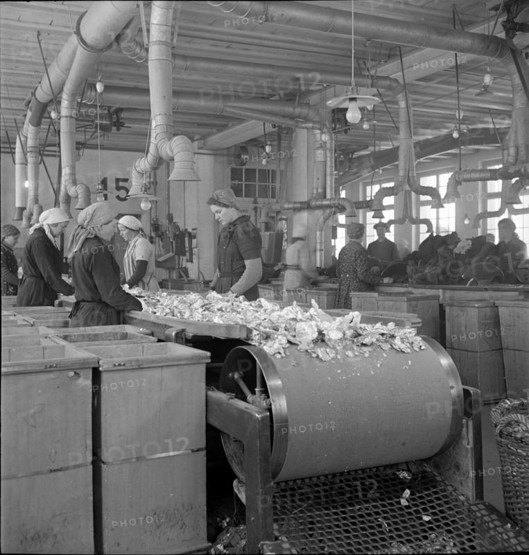 WW2: War economy; processing of tin foil