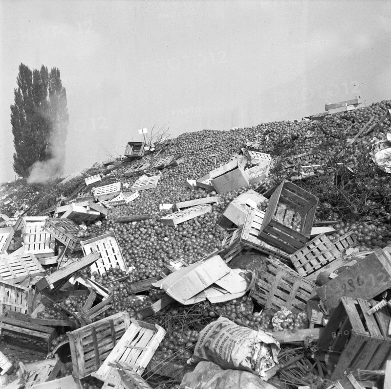 Tomato glut in Valais, 1967