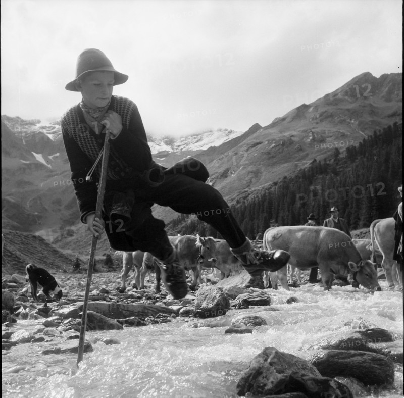Calfeisental, Young cowherd on the Alp Sardona; 1960