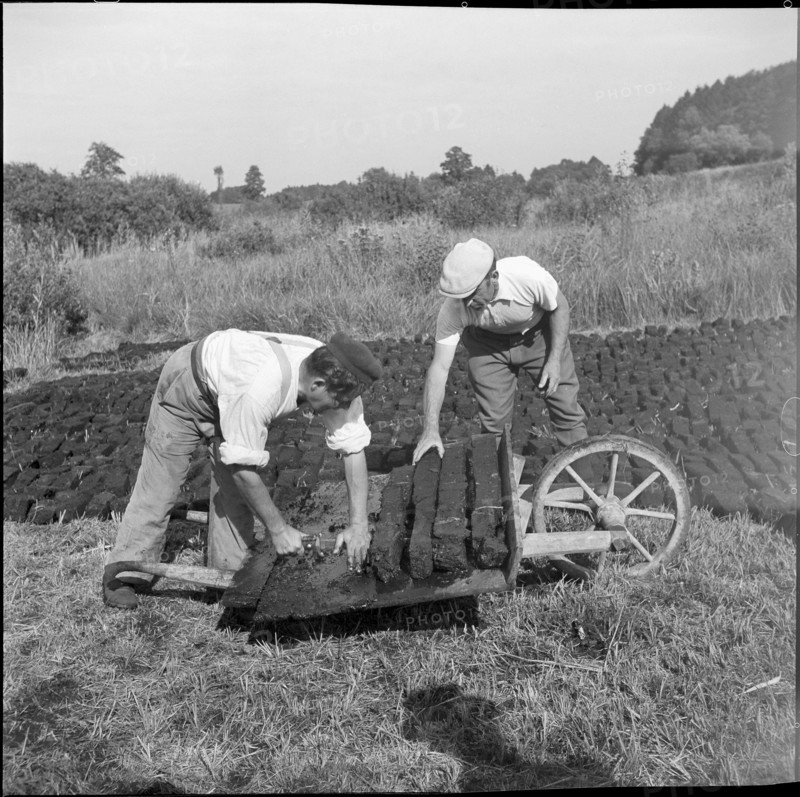 Internees from Alsace; Alsatians cutting peat, peat briquettes; 1940