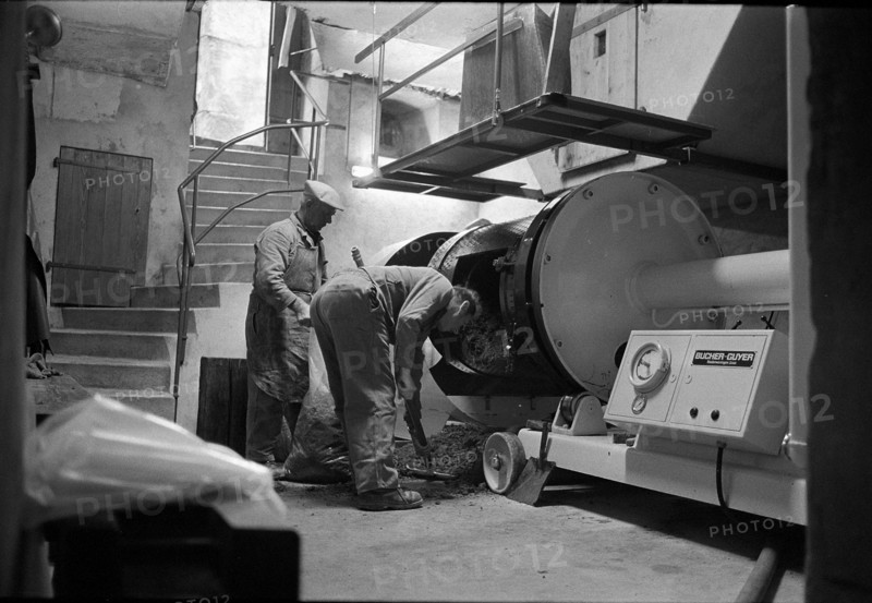 Winemaker in Epesses; 1971