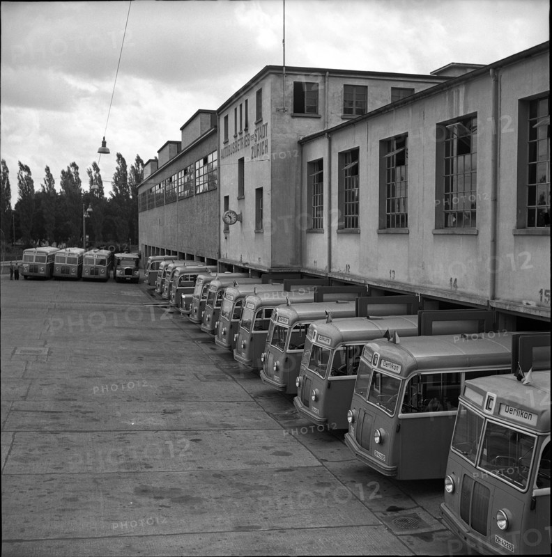 VBZ buses, 1952