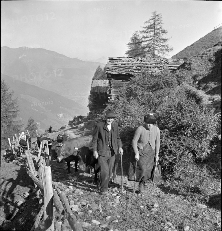 Alpine ascent in Valais, 1942