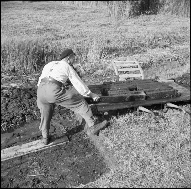 Internees from Alsace; Alsatians cutting peat, peat briquettes; 1940