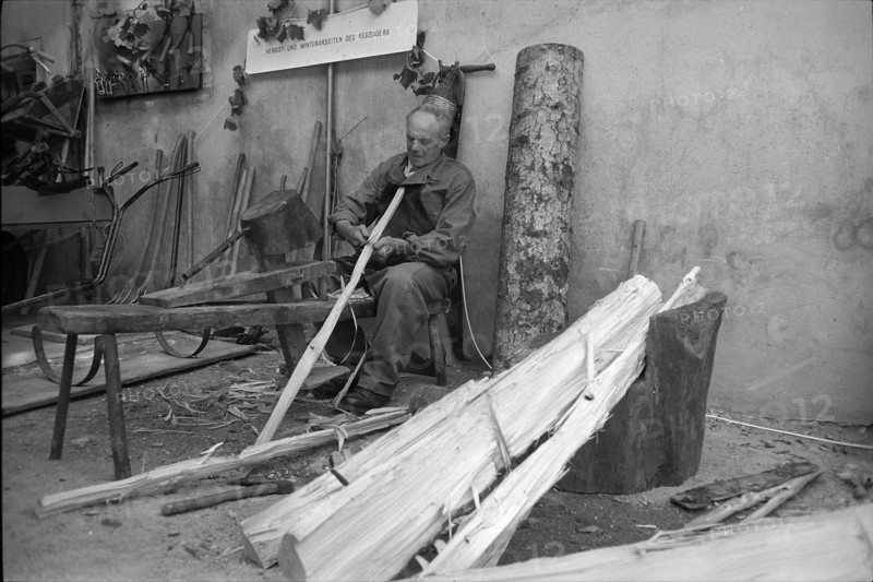 Production of vine stakes from wooden logs, 1967