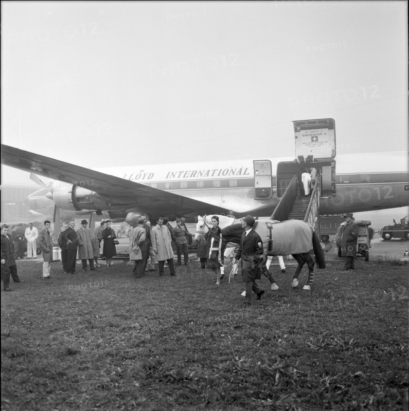 Tokyo Olympics 1964: Departure of the Swiss equestrian team, ZurichKloten Airport