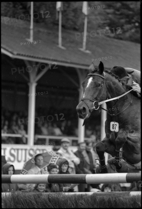 CSIO Lucerne 1974: Tjeerd Velstra on The Country Man