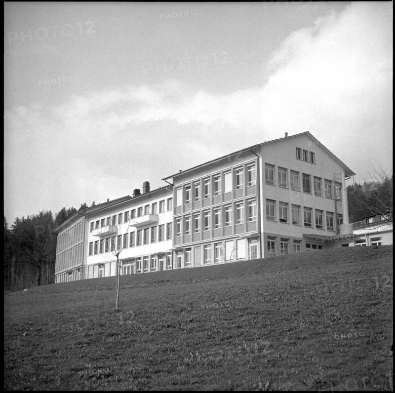 Swiss Serum and Vaccine Institute, Grafenried 1956