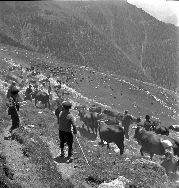Alpine ascent in Valais, 1942