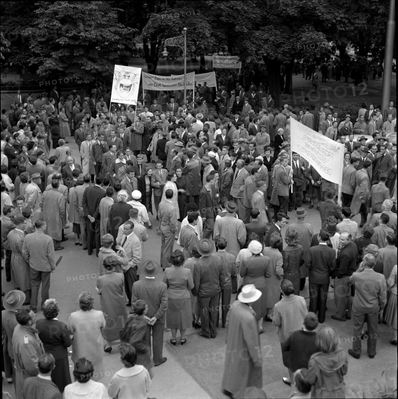 Solidarity with fired zoo director; dismissal; 1958