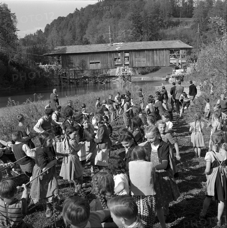 Children help move an old wooden bridge; 1952