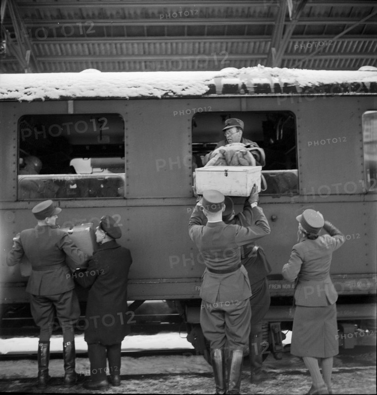Returnees from the Eastern Front, medical mission, 1942