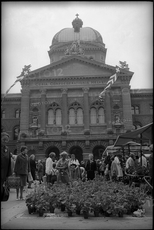 Geranium market on the Bundesplatz, Bern 1966