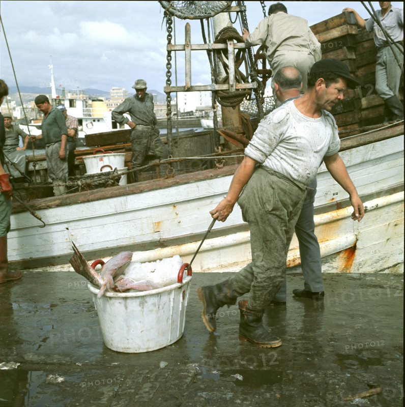 Fishermen at work at the harbor, Tenerife 1970