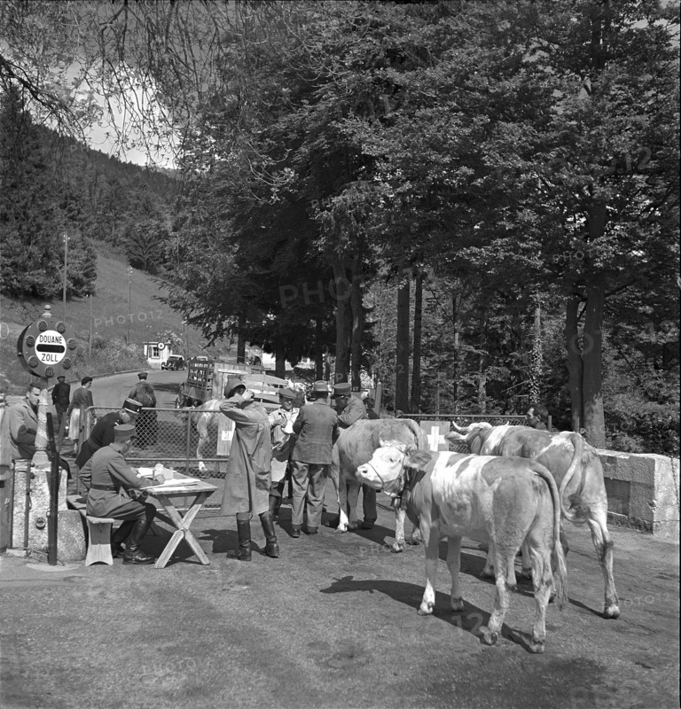 Customs during the ascent of cows to the Alps abroad, Creux 1952