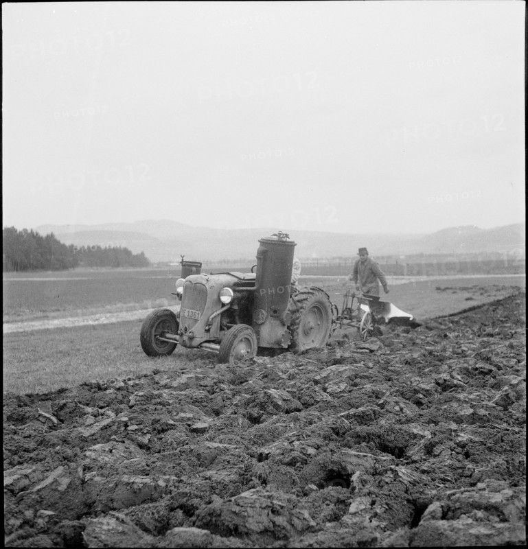 WW 2: crop growing, cereal cultivation, Thunerallmend 1943