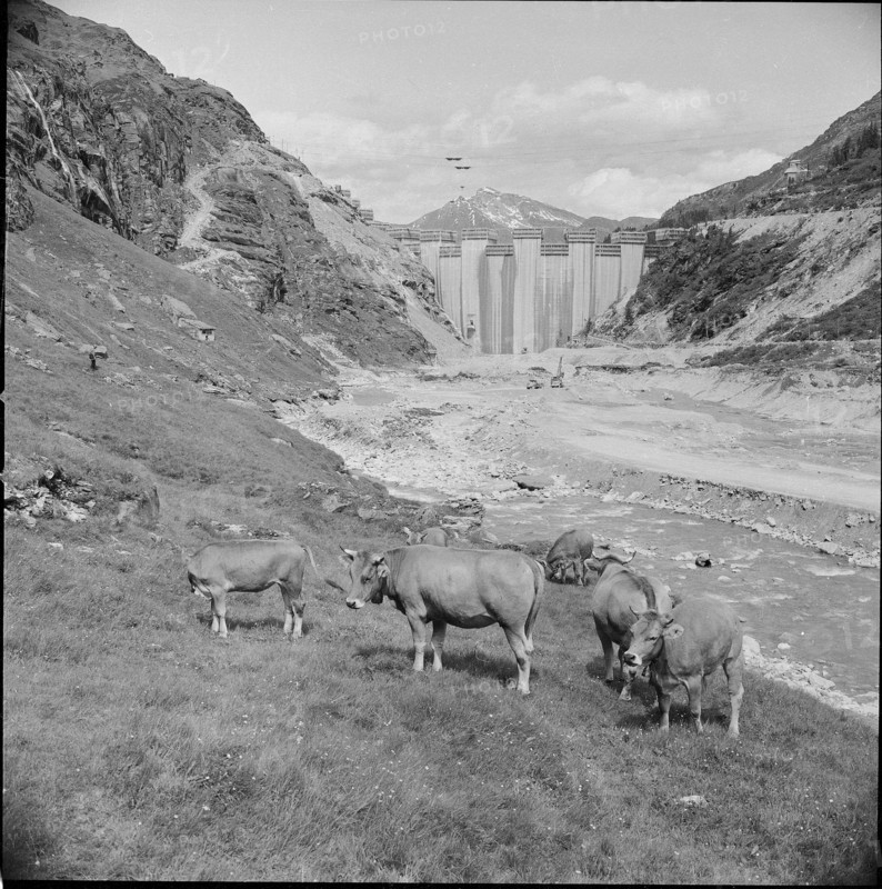 Zervreila building site 1956
