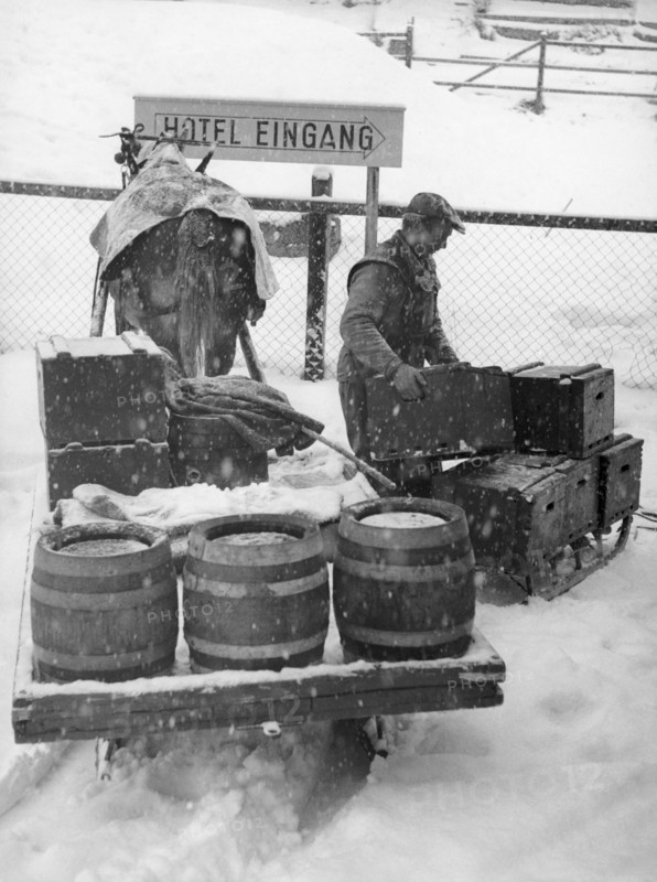 Davos: Transport of tree trunks on horse-drawn sleighs. 1949