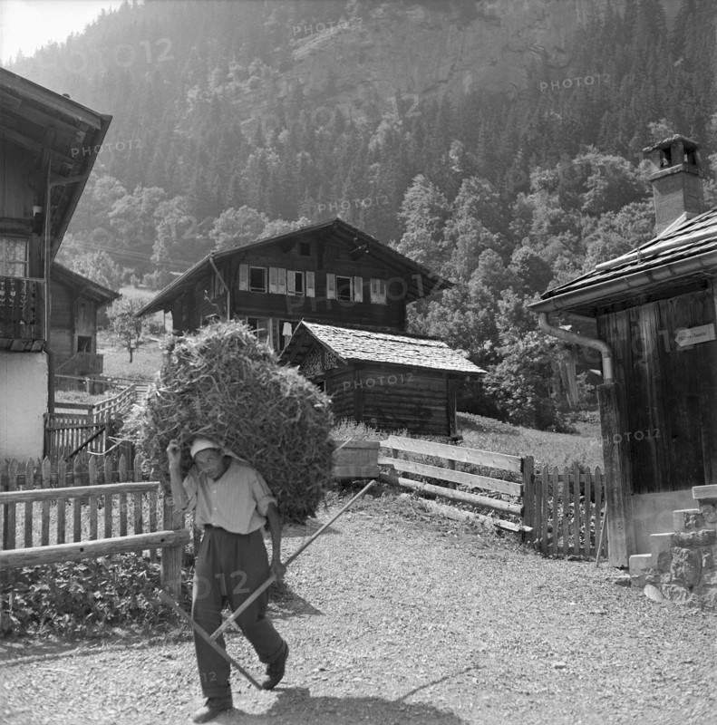Autumnal hunting in Elgg, 1958