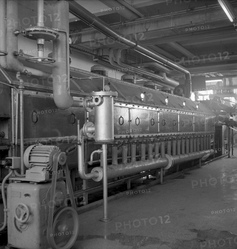 Cigarette factory Burrus, 1960
