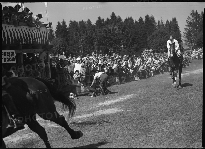 50th Marché Concours Saignelégier, 1953