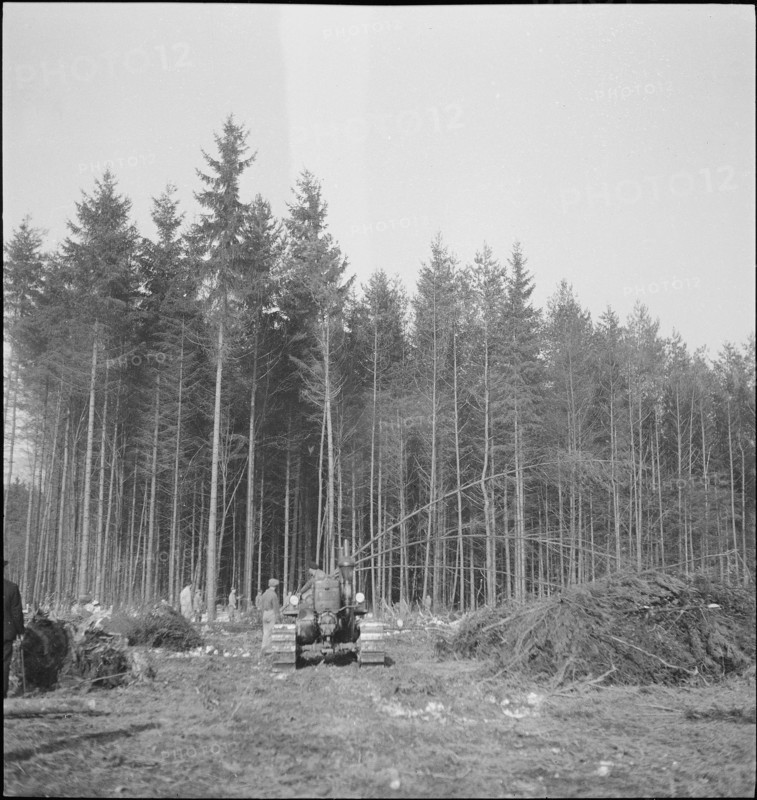 Land reclamation; increasing acreage, deforestation; 1942