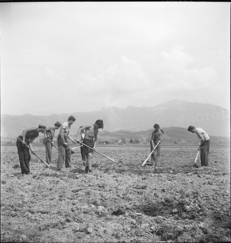 Agricultural service, apprentices hoeing fields; 1943