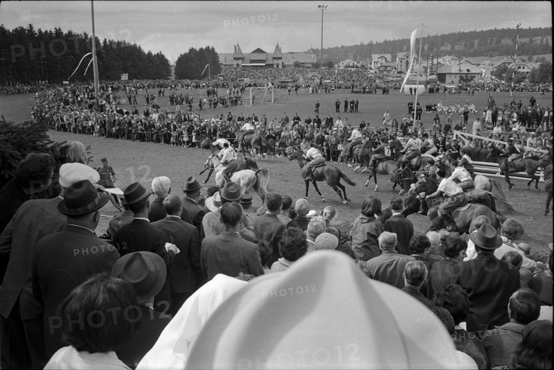 62nd Marché Concours Saignelégier, 1965