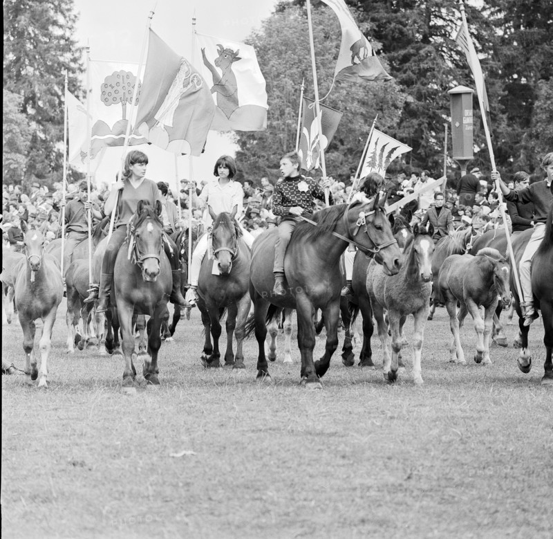 62nd MarchéConcours Saignelégier, Cortège, 1965