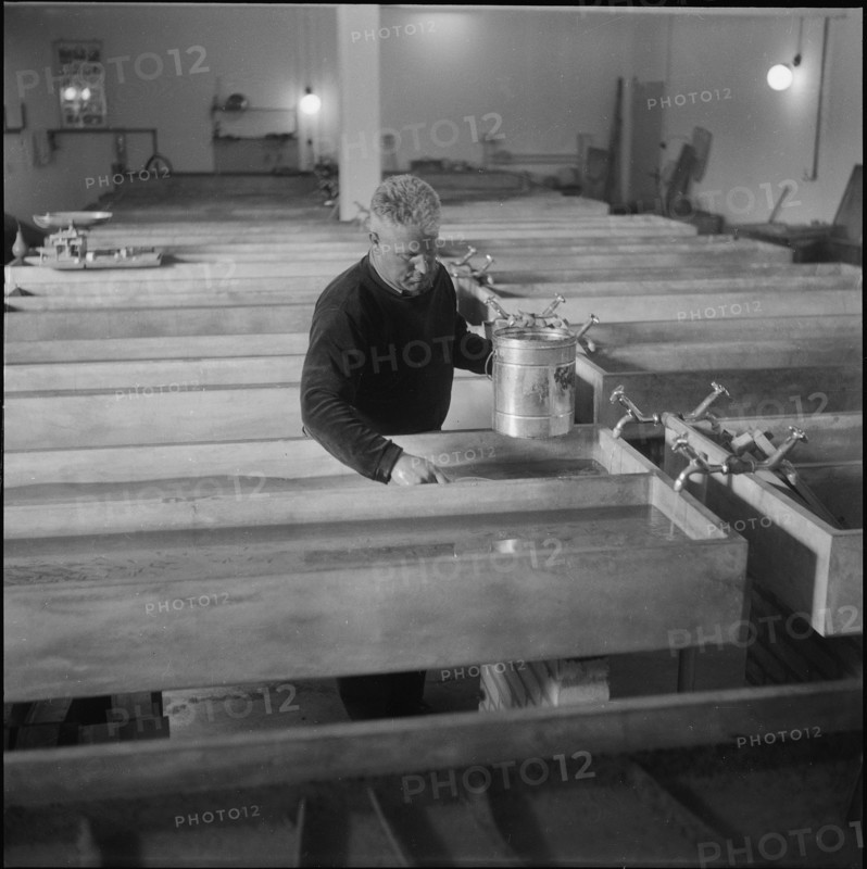 Weesen fish hatchery, Werner Bälli 1958