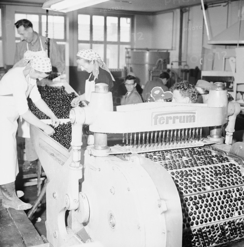 Cherry pitting machine, 1958