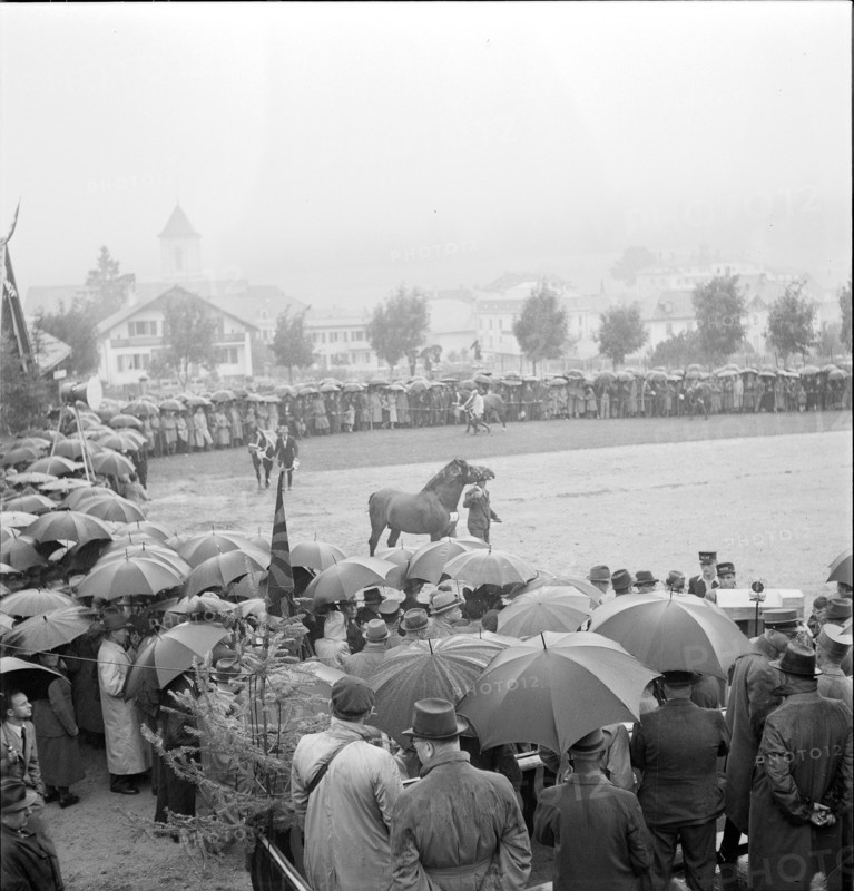 40th MarchéConcours Saignelégier, demonstration, 1943
