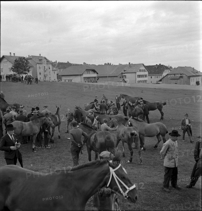38th Marché Concours Saignelégier, 1941