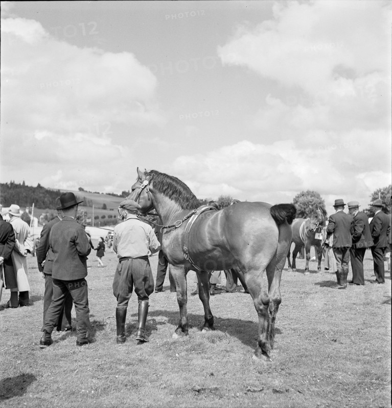 38th MarchéConcours Saignelégier, demonstration, 1941