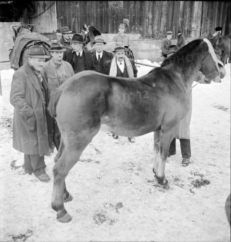 9th Burgdorf Inland Horse Market, demonstration, 1944