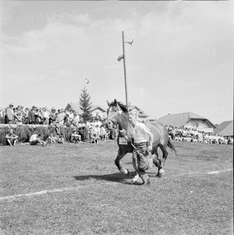 55th MarchéConcours Saignelégier, horse Daguerette, 1958