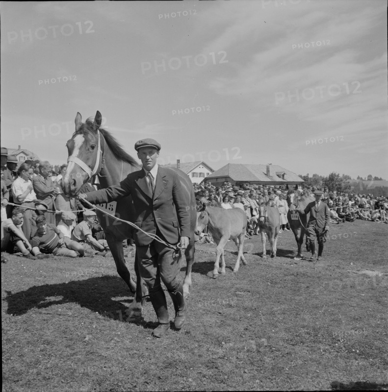 48th MarchéConcours Saignelégier, demonstration, 1951