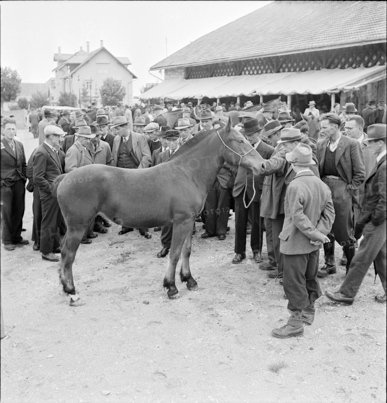 42nd MarchéConcours Saignelégier, horse market, 1945