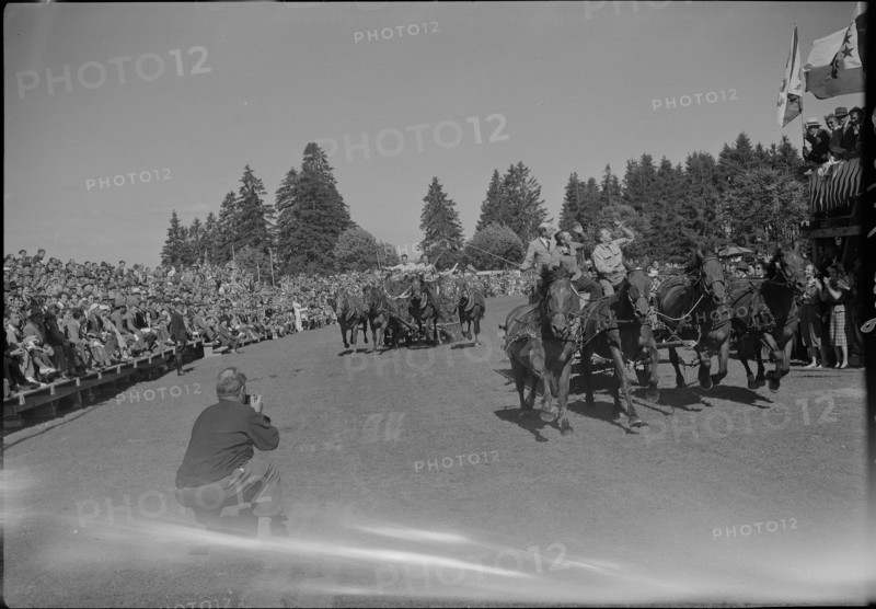 48th MarchéConcours Saignelégier, fourinhand chariot race, 1951