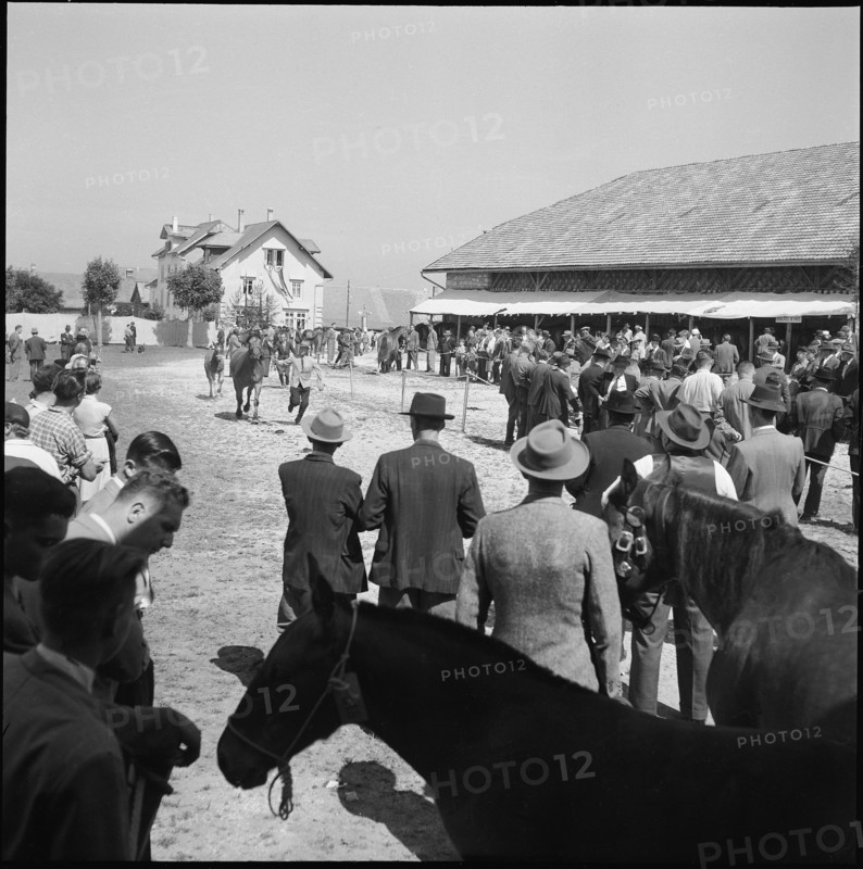 50th MarchéConcours Saignelégier, demonstration, 1953