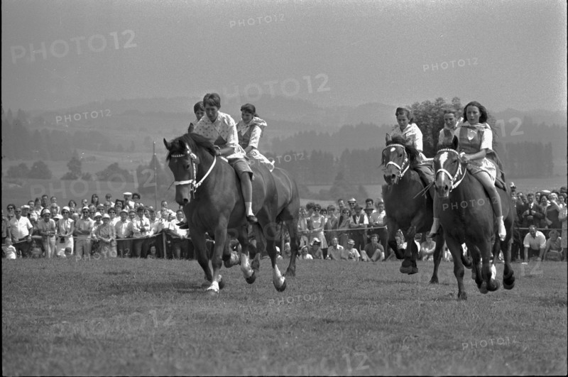 66th Marché Concours Saignelégier, 1969