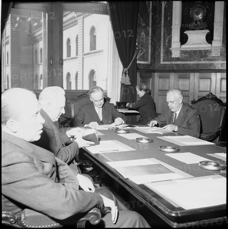 Initiative Committee for the Protection of the Rheinau at the Federal Council, 1954