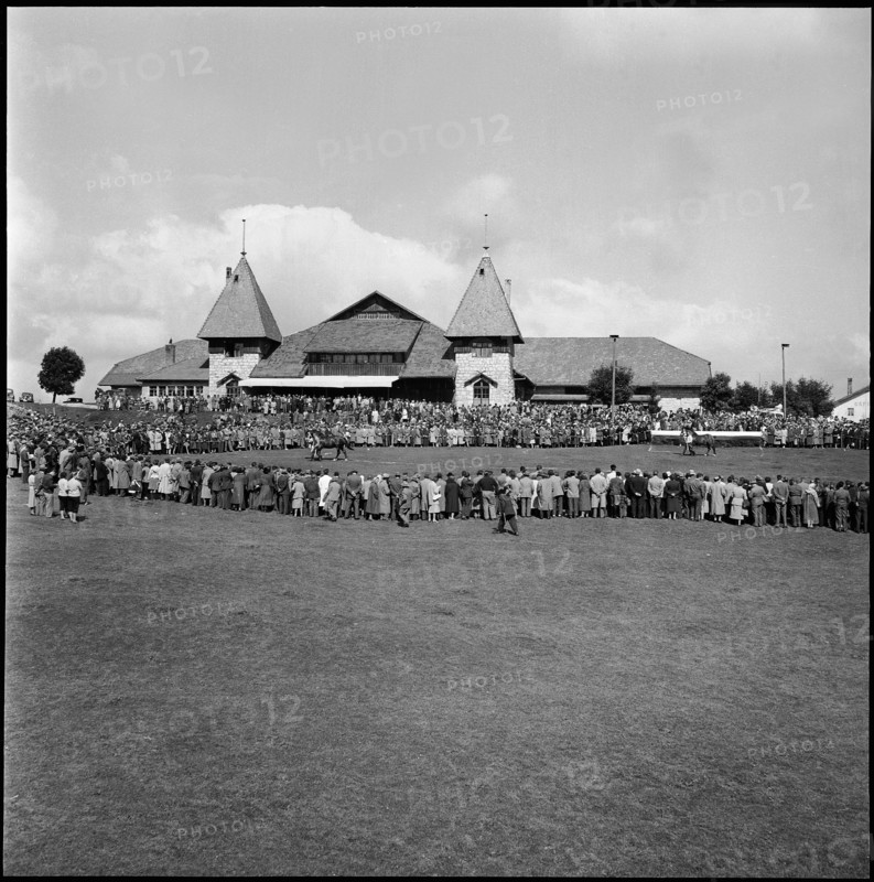53rd MarchéConcours Saignelégier, Halle Cantine, 1956