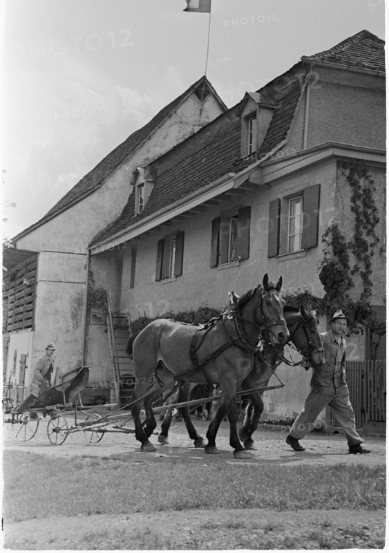 WWII: Swiss farmer on the French border, Basel 1945