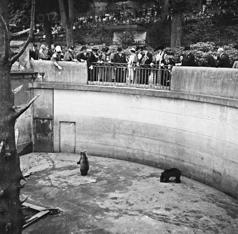 Landi 1939: Lord Mayor of London visiting the Bärengraben in Bern.