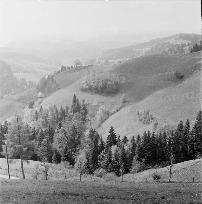 Lüdern in the Emmental; 1966.